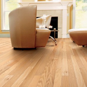 Dolor sit amet conse tation ullamcorper